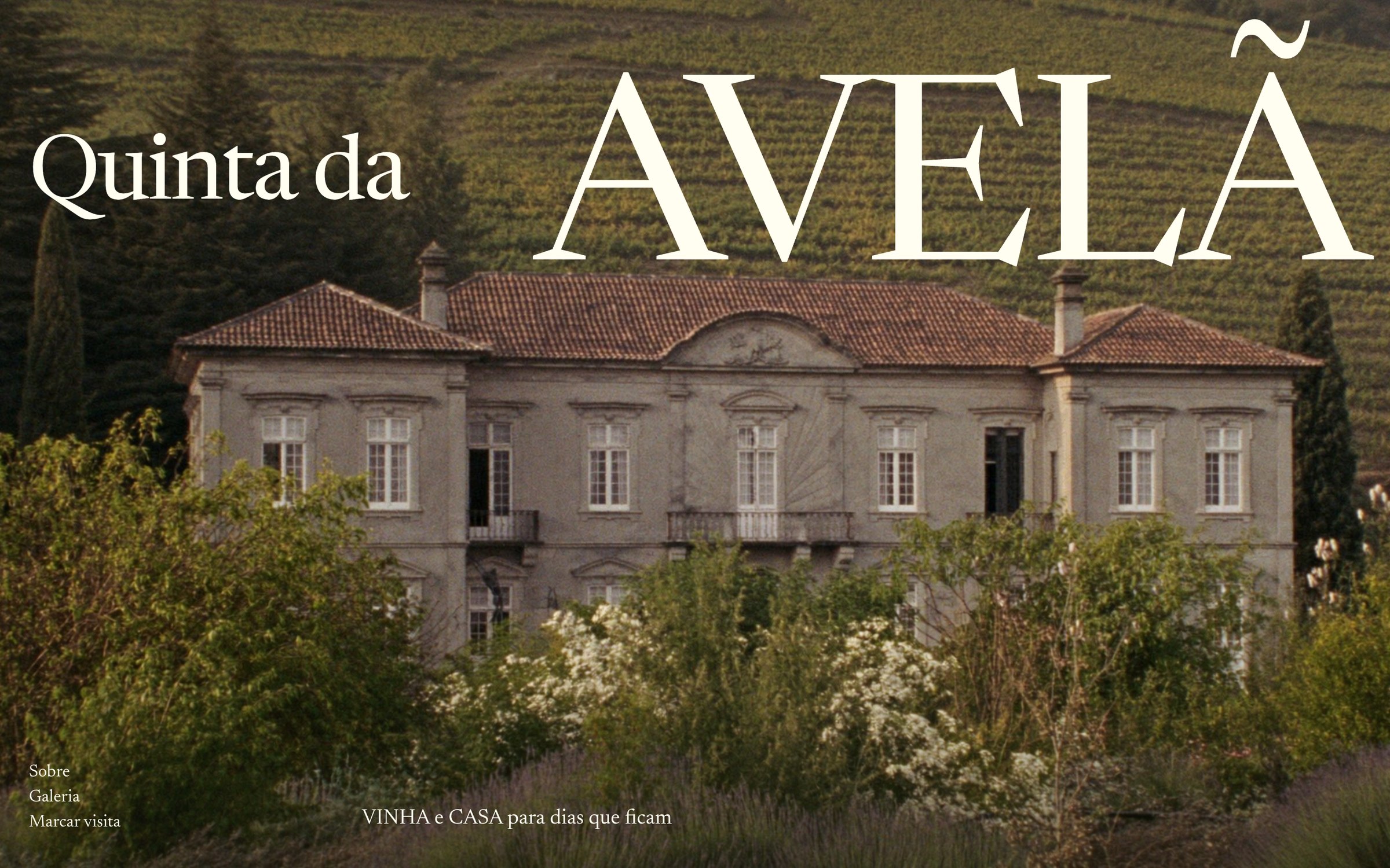 Website — home page of a wedding estate in the Douro valley